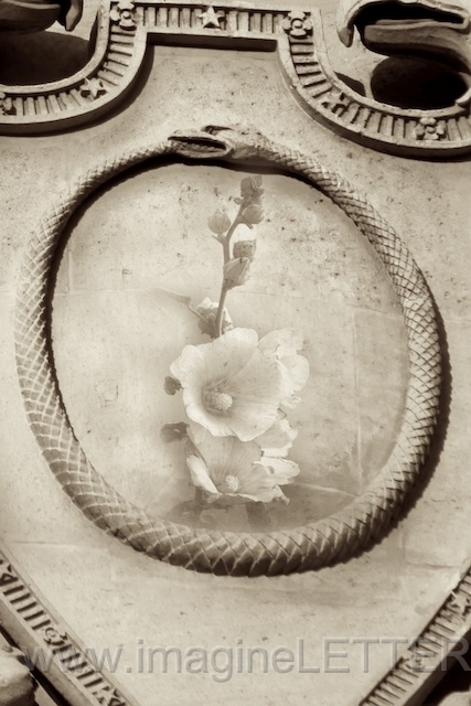 Wall_Art_Alphabet_Photography_Art_ 1686.jpg
